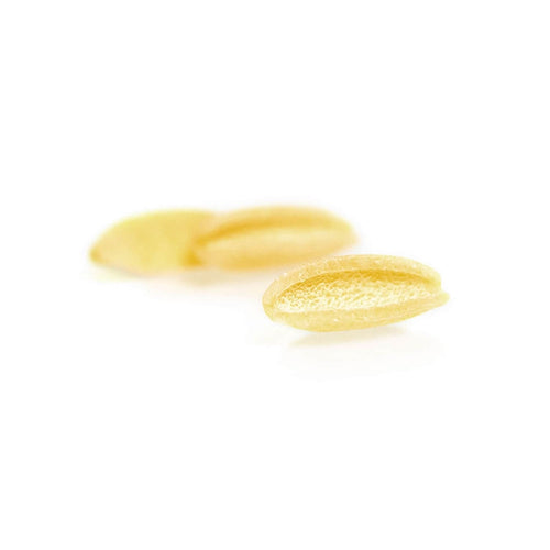 Cavatelli n87 granoro dedicato pasta