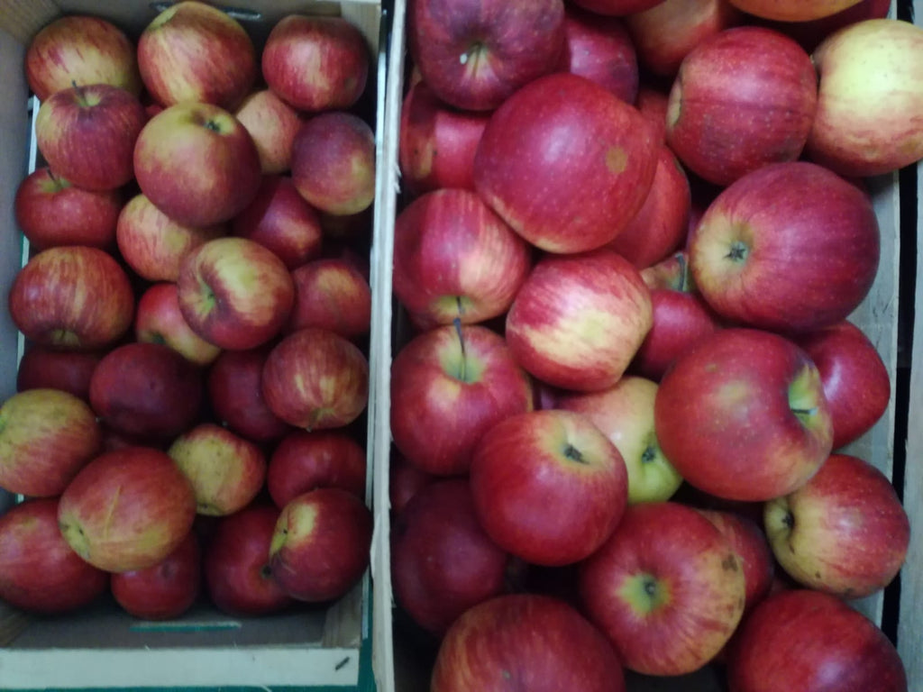 Apple and Cinnamon Jam Giapas Le Conserve Di Montelepre