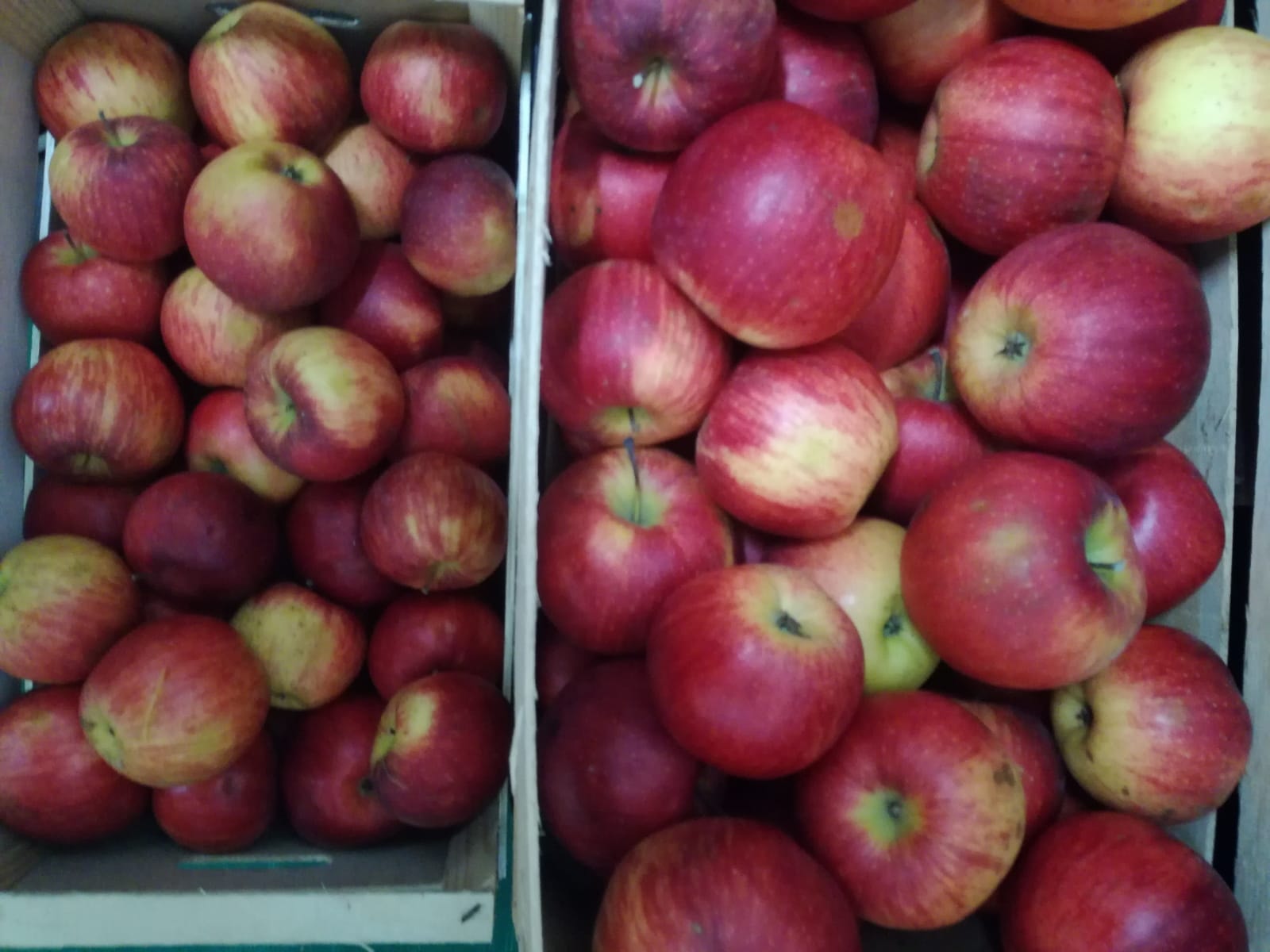 Apple and Cinnamon Jam Giapas Le Conserve Di Montelepre