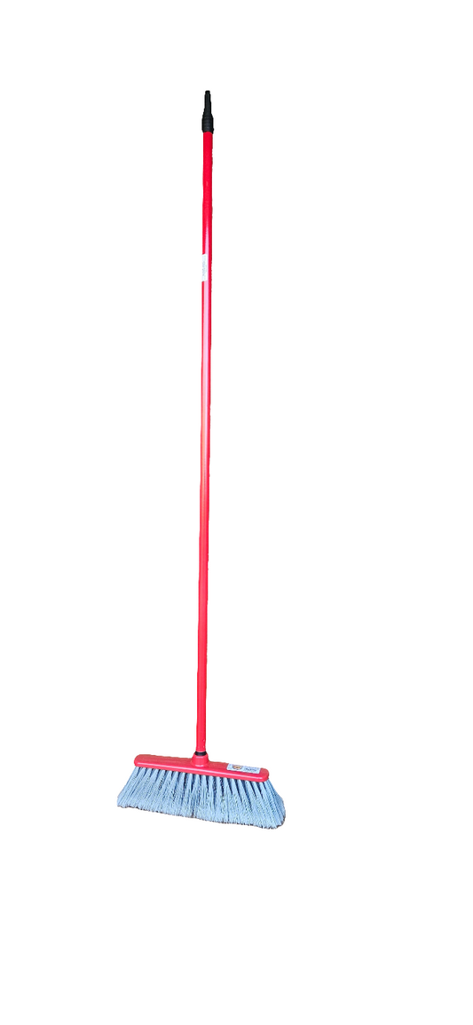 Italian broom