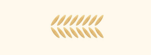 SEMI DI ORZO | 27